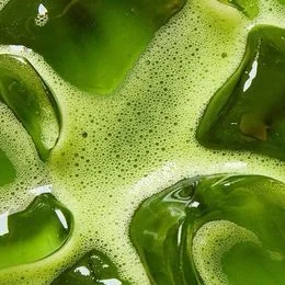 Greens — vegetais verdes